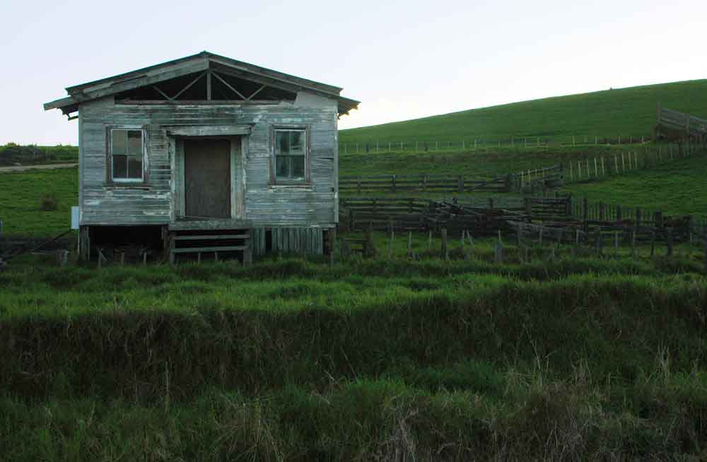 94 - Nueva Zelanda, paisaje